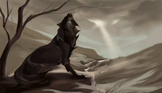 782819 (a): :3000x1720